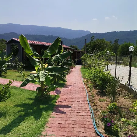 Üdülőpark Arlin